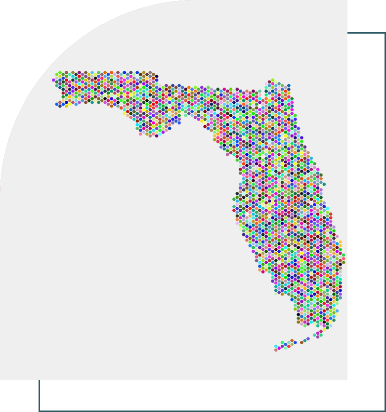 A map of florida made up of many small dots.